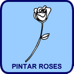 Pintar Roses